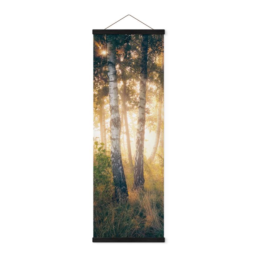 Póster de tela Sol en un bosque de abedules - Kado - Panorama