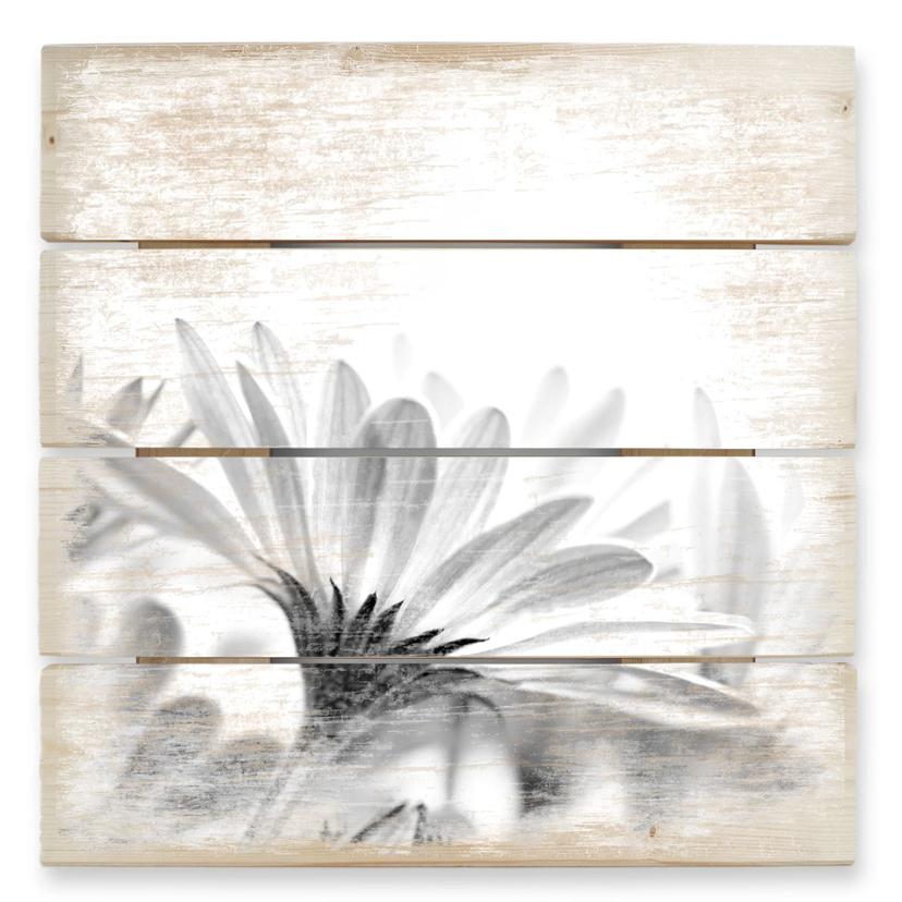Cuadro de madera margarita en detalle - 40x41,5 cm