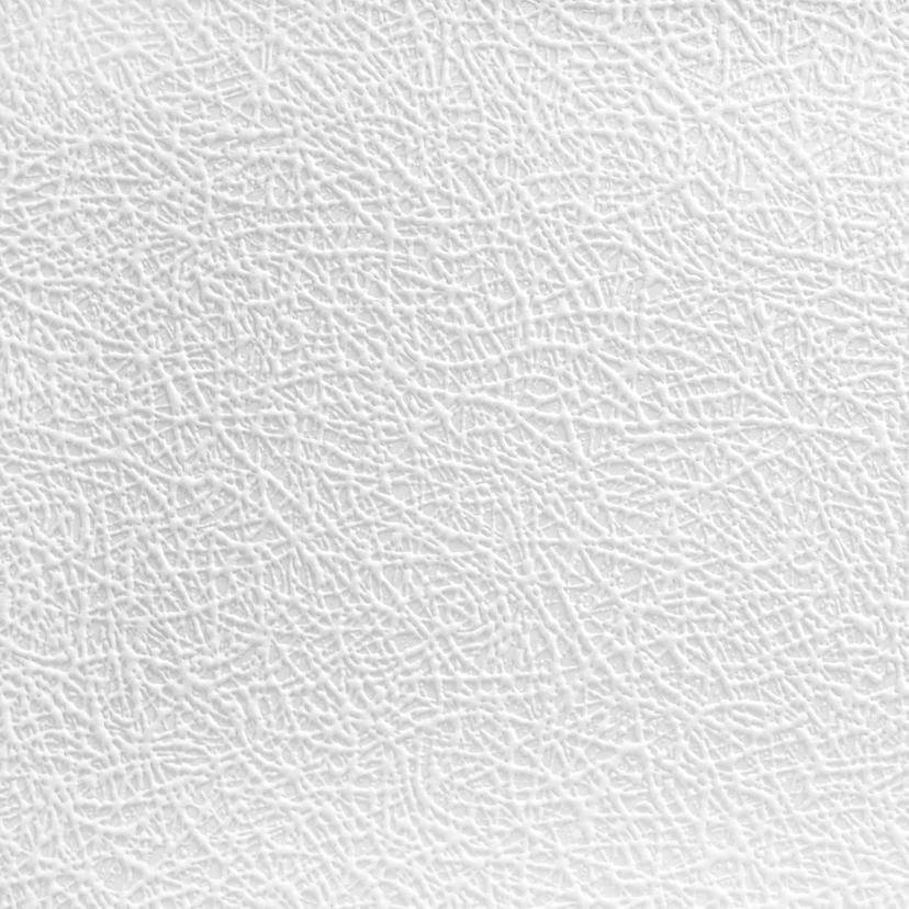 Papier peint intissé couvrant A.S. Création Meistervlies Pro Protect 2 blanc