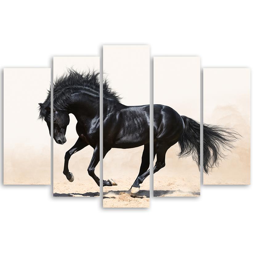 Stampa su tela 5 pezzi, cavallo nero al galoppo