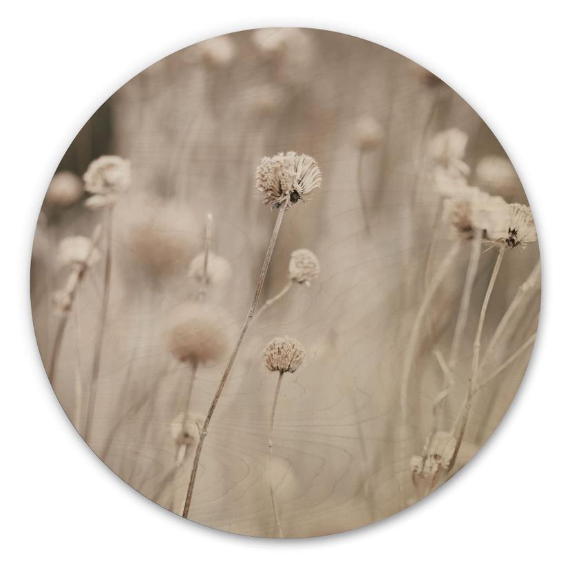 Billede af træ Tørrede blomster i bløde farver - Annie - Rund