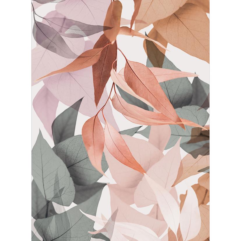 Papier peint photo Feuilles d'eucalyptus colorées - Sisi & Seb