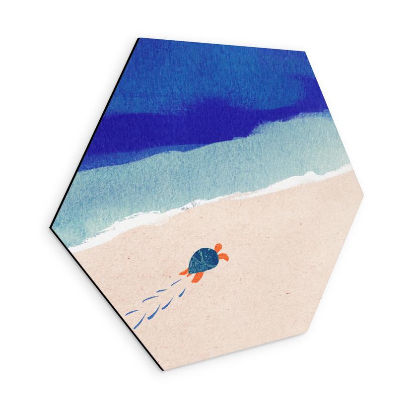 Hexagone Tableau Petite tortue au bord de la mer - Rivers - Alu-Dibond