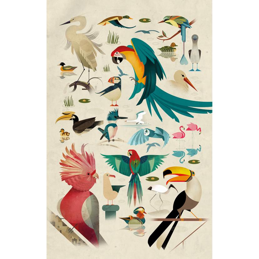Fotomurale Braun - Birds