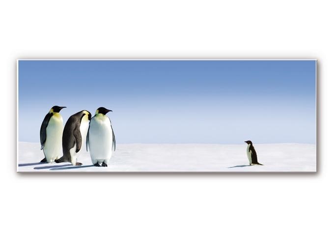 Tableau Forex - Pingouin - Panorama