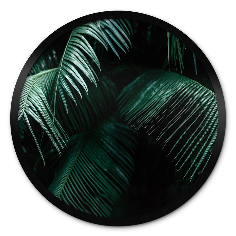 Póster Botánica Tropical - Redondo