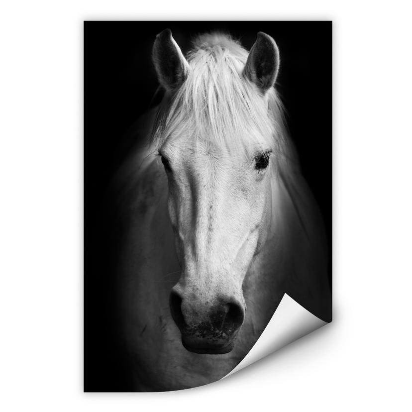 Muurprints Wit Paard