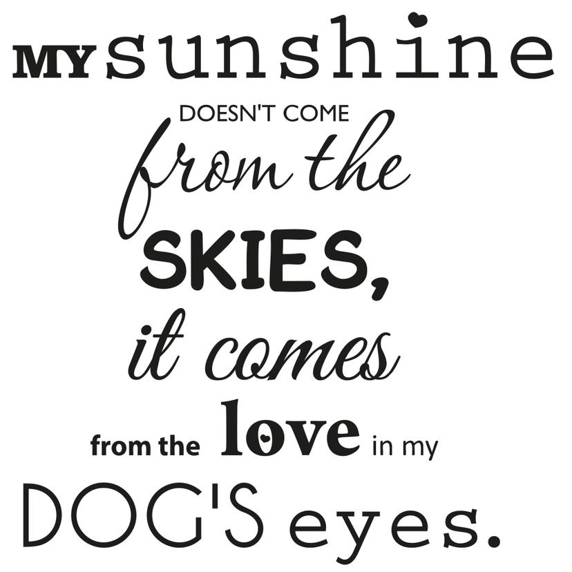 Adesivo murale - My sunshine...