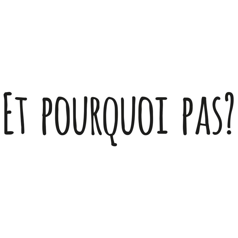 Sticker mural - Sticker mural Et pourqoui pas?