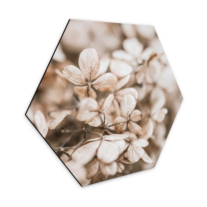 Hexagone - Alu-Dibond Annie - Fleurs en velours