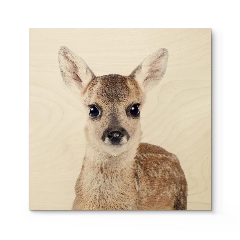 Træplakat Sisi & Seb - Fawn