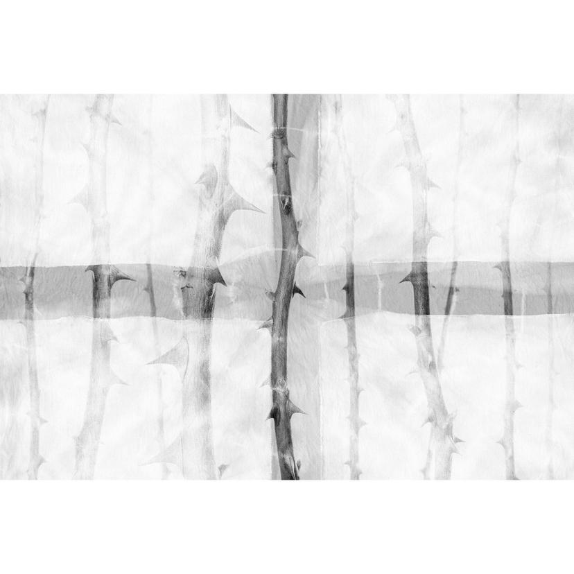 Architects Paper Fotomurale - Atelier 47 Spine