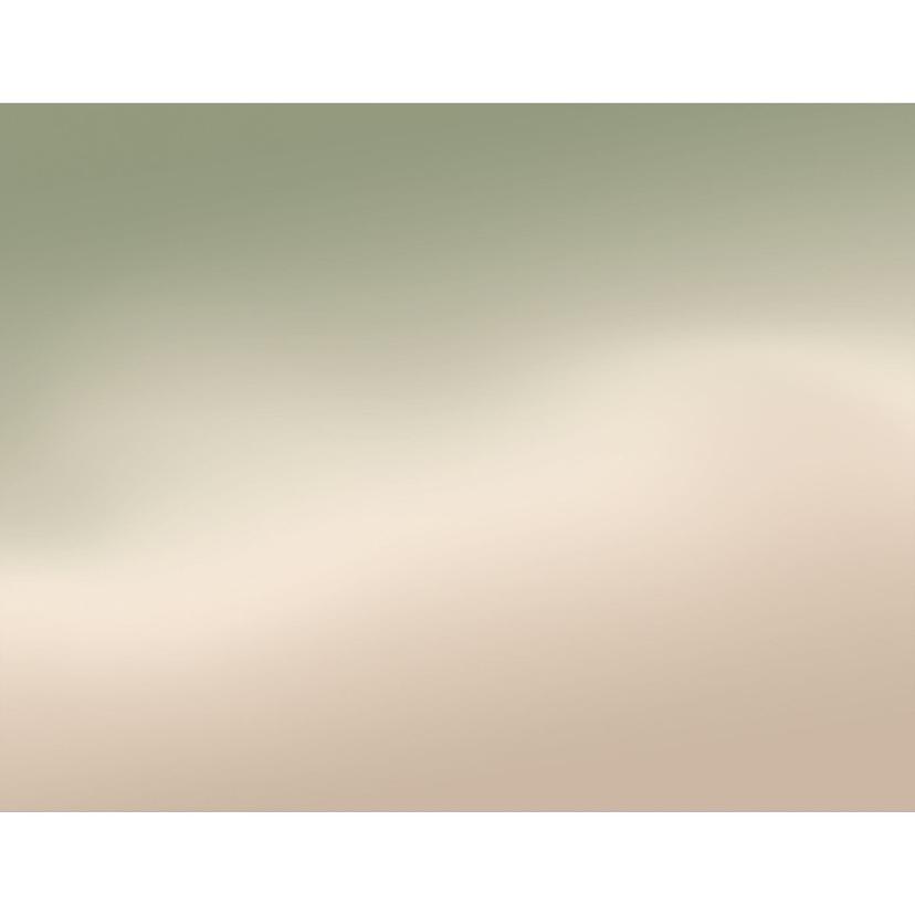 Papier peint photo Ombre - Brouillard de forêt