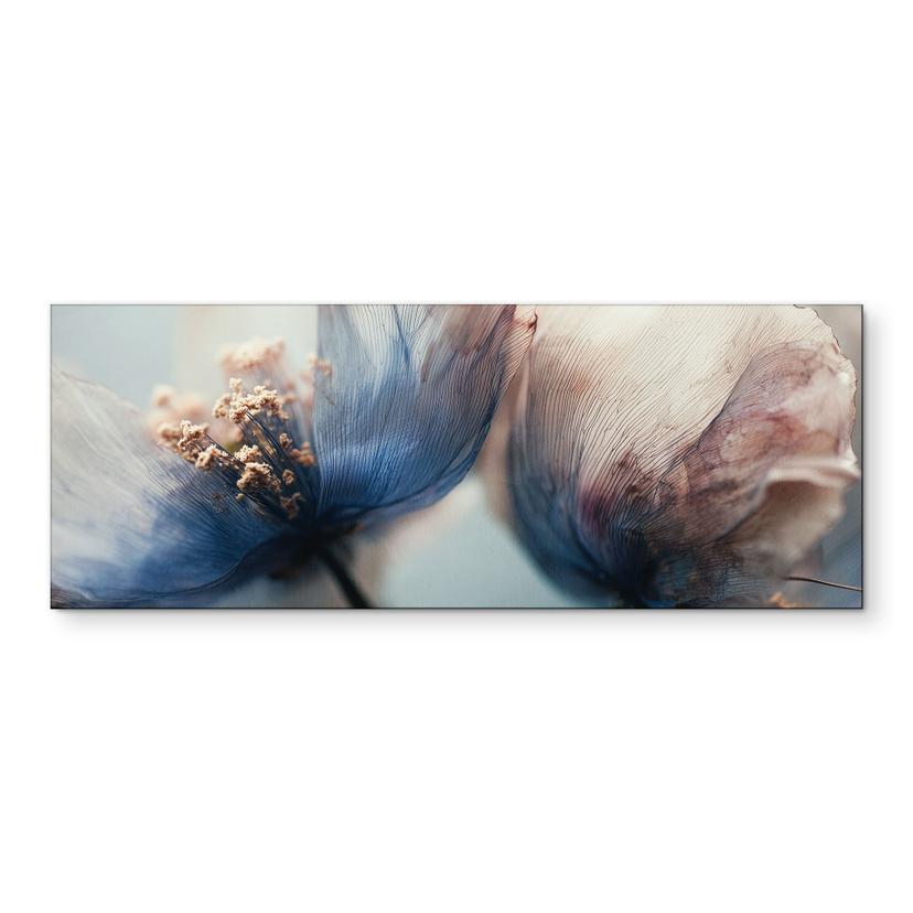 Fototapet Filigran tørrede blomster i lyset - Treechild panorama – print på aluminium