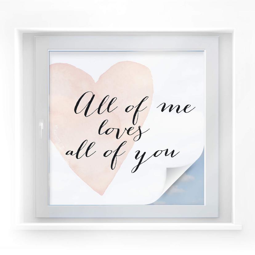 Confetti & Cream privacy film - All of me loves all of you