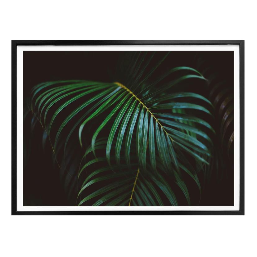 Plakat - Botanical 04