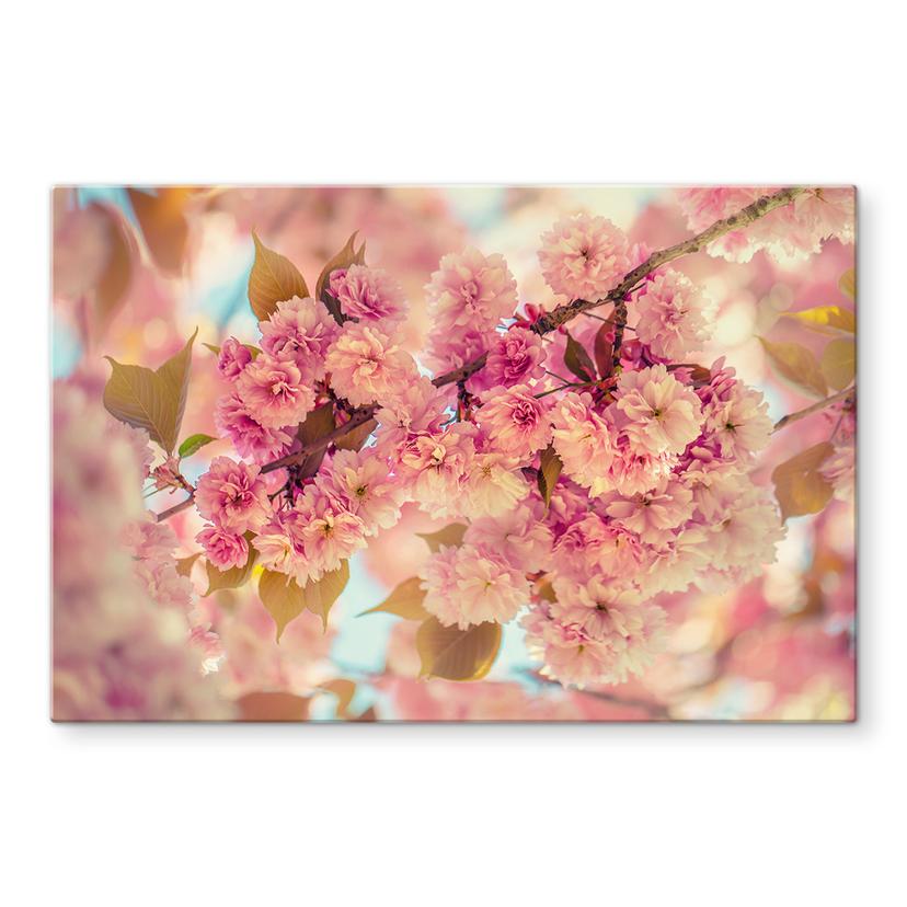 Pannello paraschizzi Delgado - Fiori di ciliegio