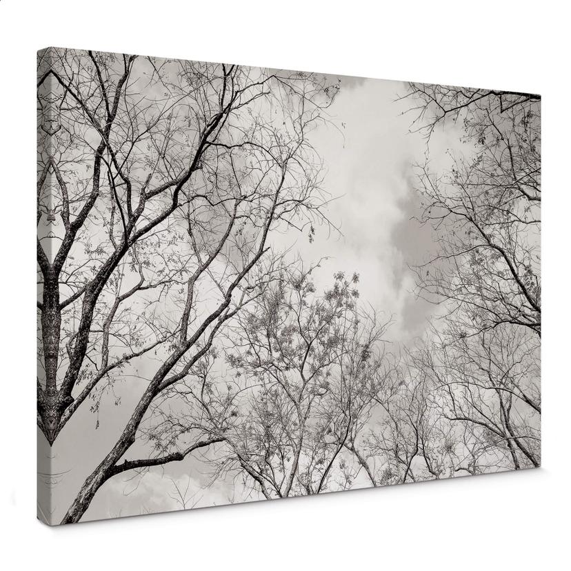 Tableau en toile Cimes des arbes dans le ciel - Rond