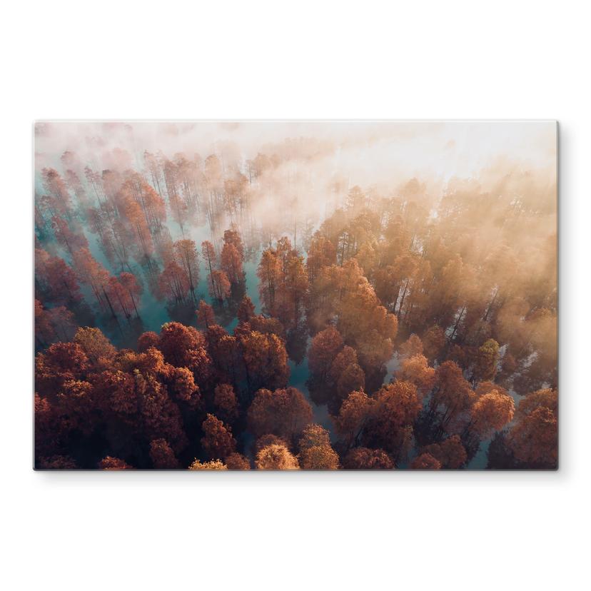 Salpicadero de cocina Bosque otoñal en la niebla - Ioricon