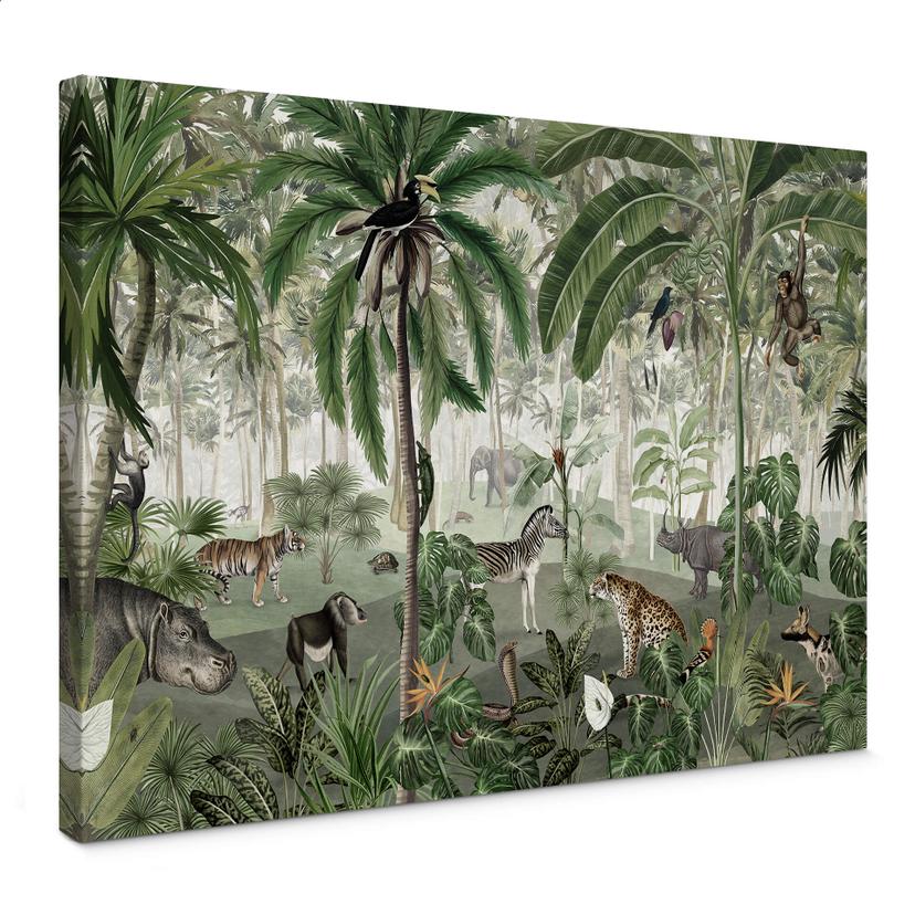 Cuadro lienzo Kikki Belle - Cuadro de búsqueda de la selva