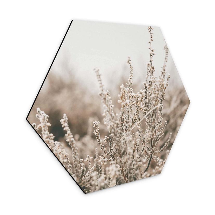 Hexagone - Alu-Dibond Annie - Herbes