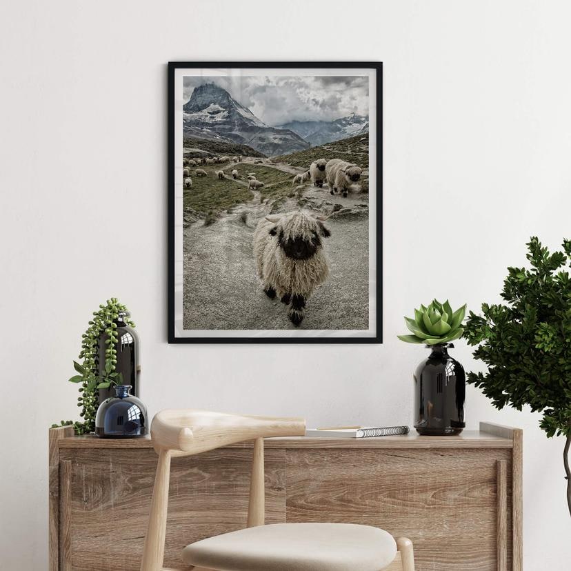 Poster Landolt - Escursione