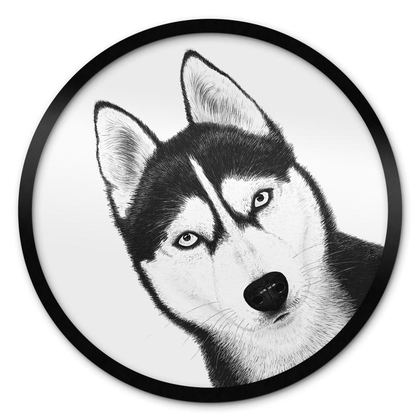 Plakat Siberian Husky - Hundeportræt - Korenkova - Rund