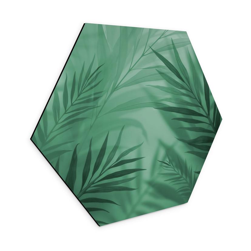 Tableaux hexagonaux Feuilles de palmier vertes - Alu-Dibond