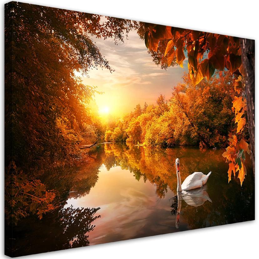 Canvasbillede, Svane på en dam efterår