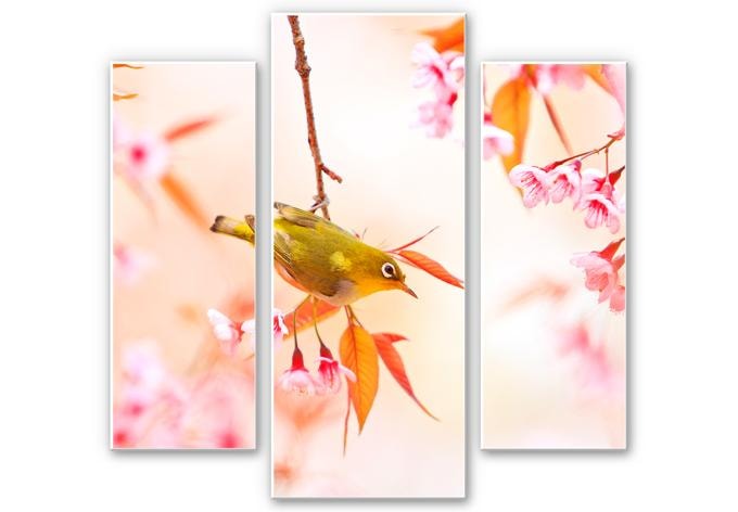 Tableau Forex - Oiseaux qui pépient dans les fleurs de cerisier (3 parties)