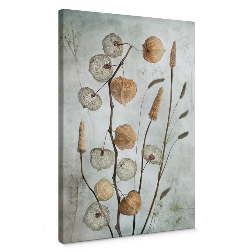 Lærredsprint - Tørrede lanterneblomster - Disher