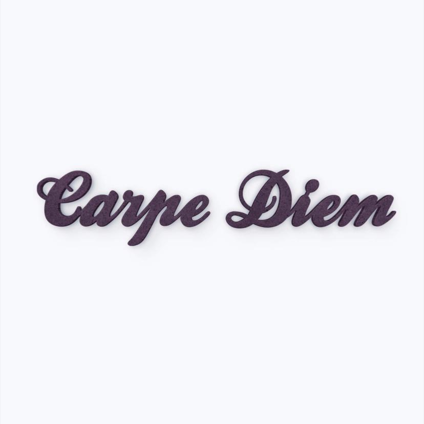 Lettere in legno MDF Carpe Diem