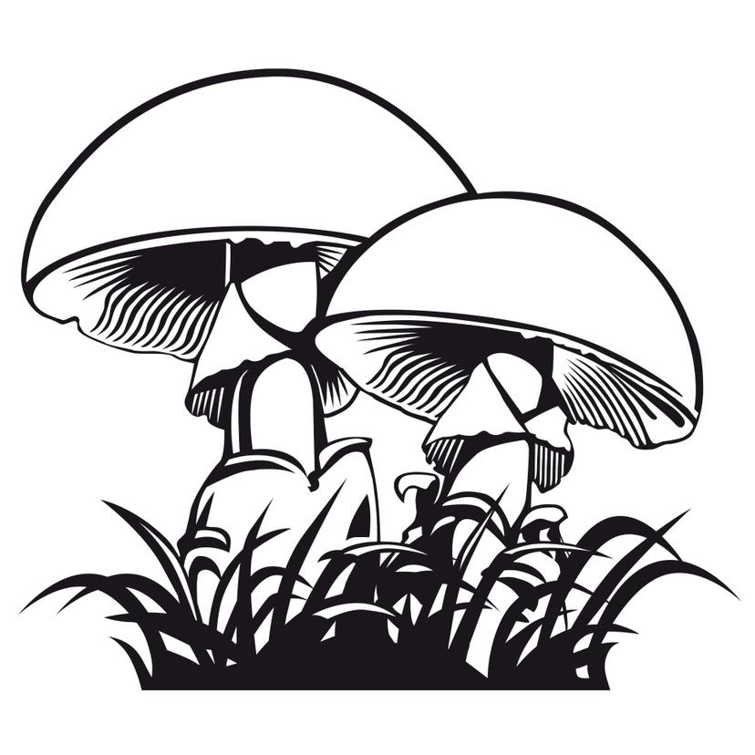 Adesivo murale - Champignons