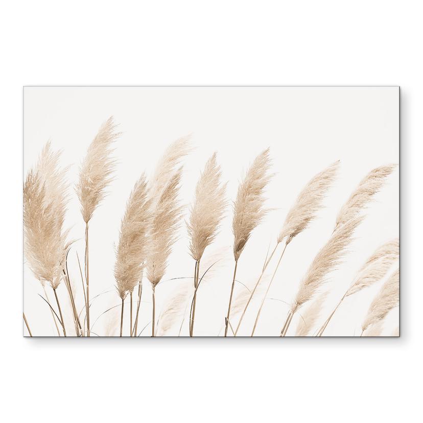 Wandbild Pampas - Sisi & Seb - Alu-Dibond