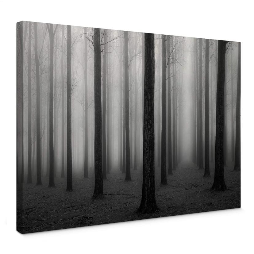 Lienzo Bongaerts - Niebla en el bosque