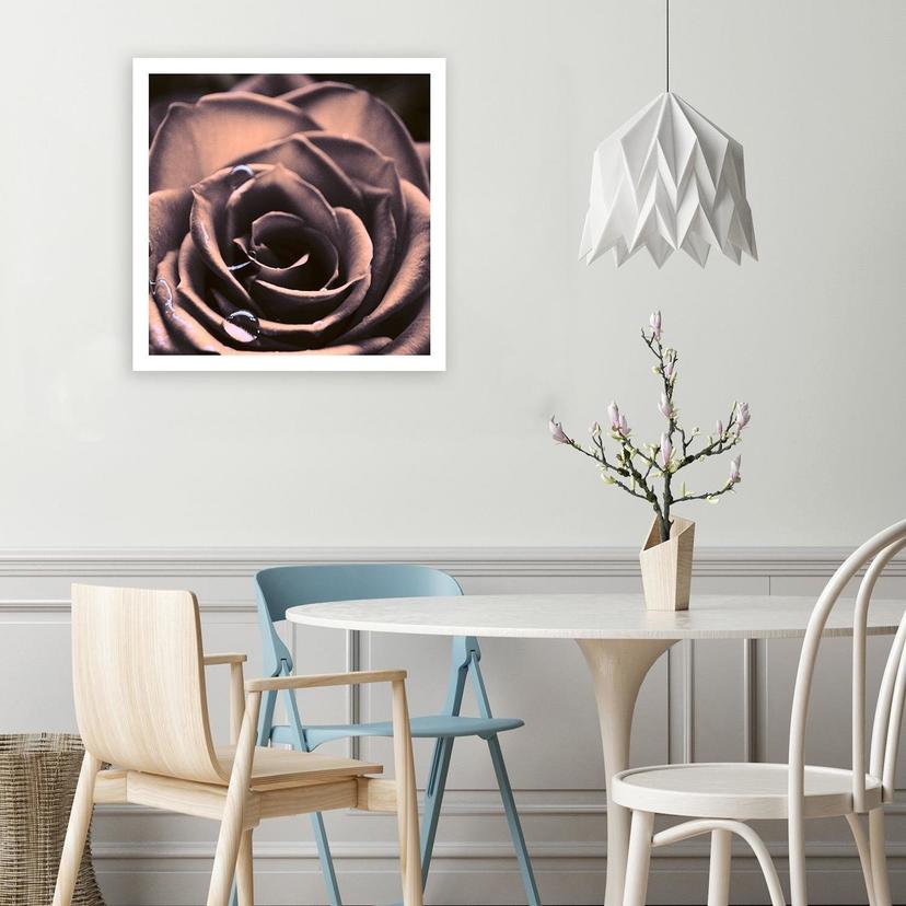 Stampe su tela, Gocce d'acqua su una rosa