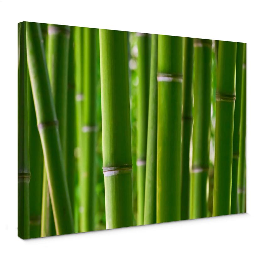 Tableau sur toile - Forêt de Bambous