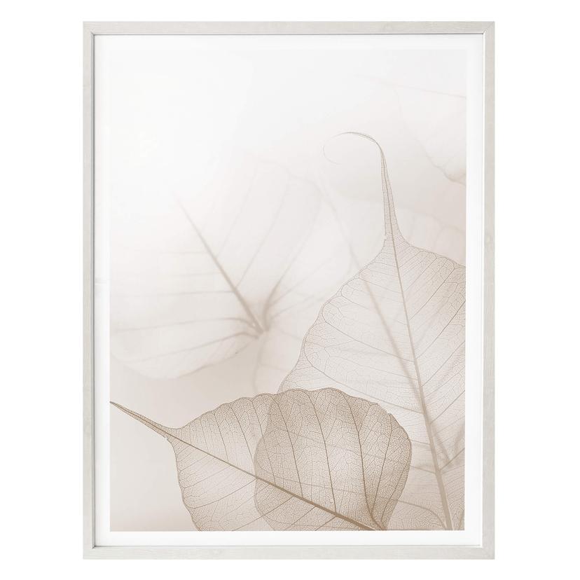Plakat - Sarte blade