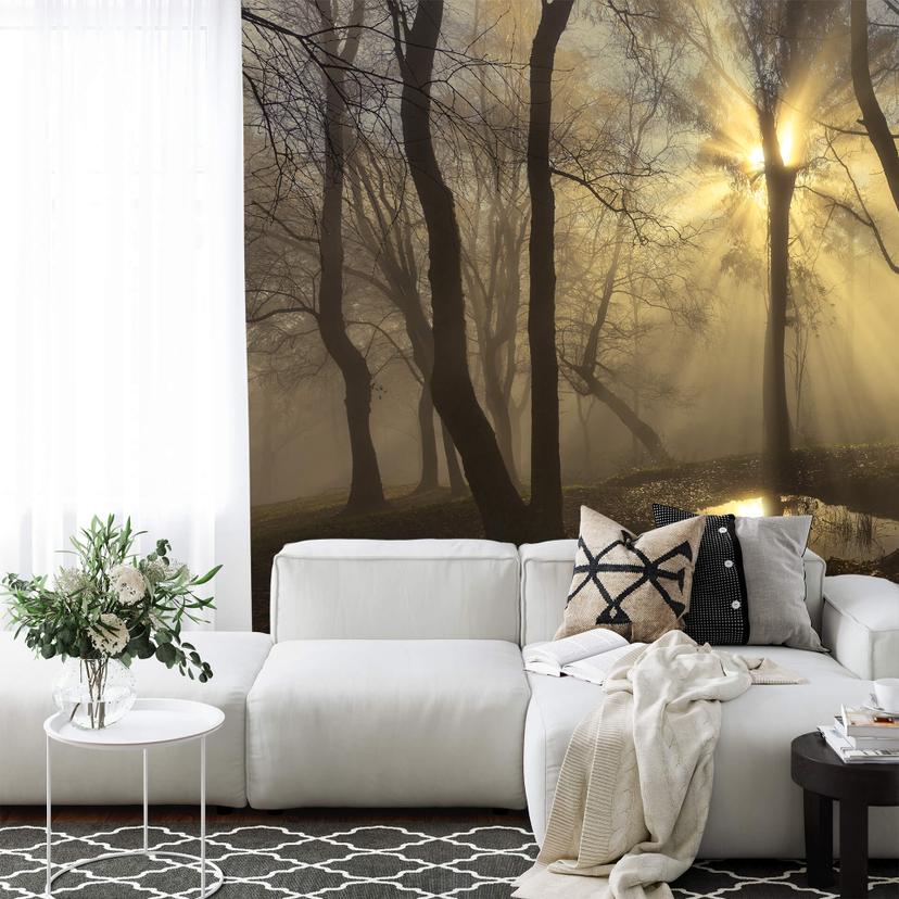 Fototapet Cuadrado - Light - 432x260 cm