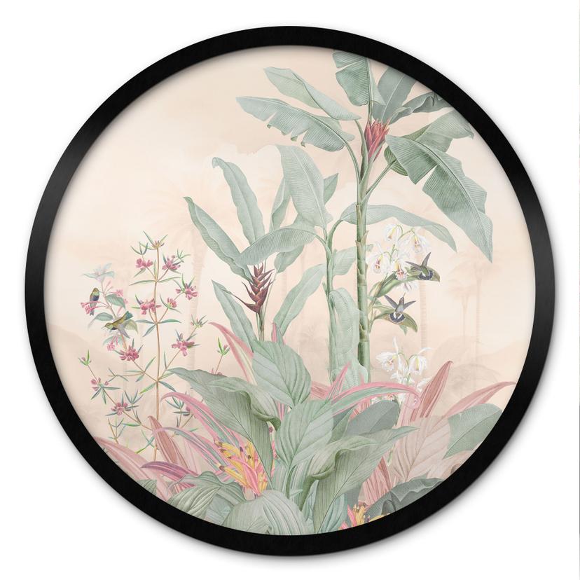 Plakat Tropical Idyll med kolibri Abrikos - Blomsterdekoration - Rund