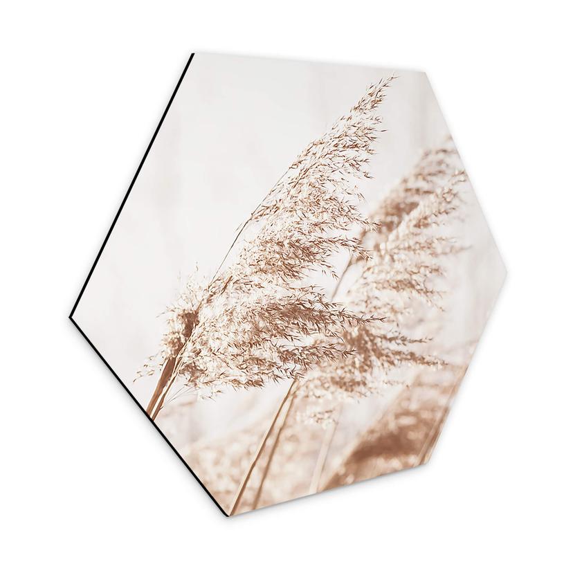 Hexagon Dibond Windy Grass