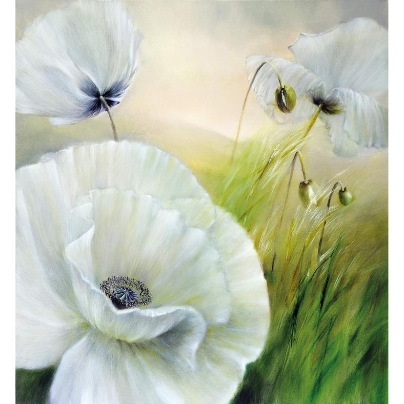 Fotomurale Schmucker - Papavero bianco