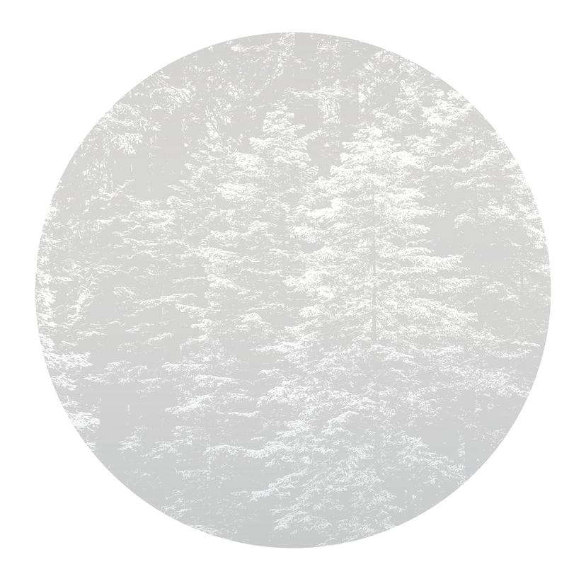Papel pintado digital Hazy Pines en 1,4 m x 1,4 m Fashion for Walls 4 de Guido Maria Kretschmer