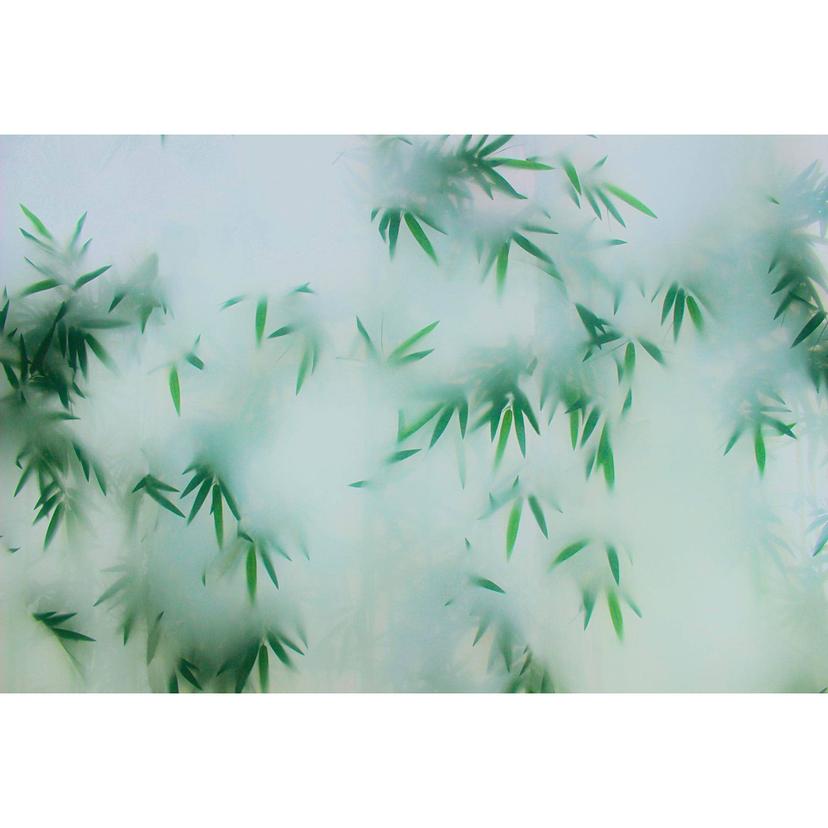 Fotomurale Walls by Patel 3 Panda`S Paradise