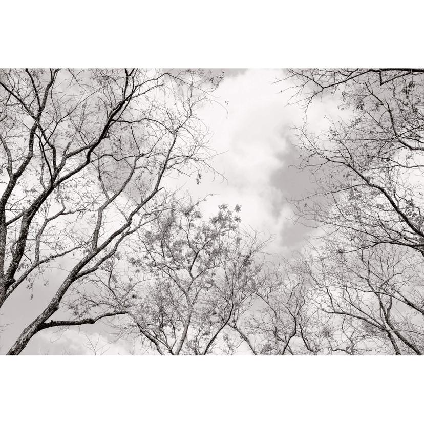 Fotomurale – Guardando il cielo