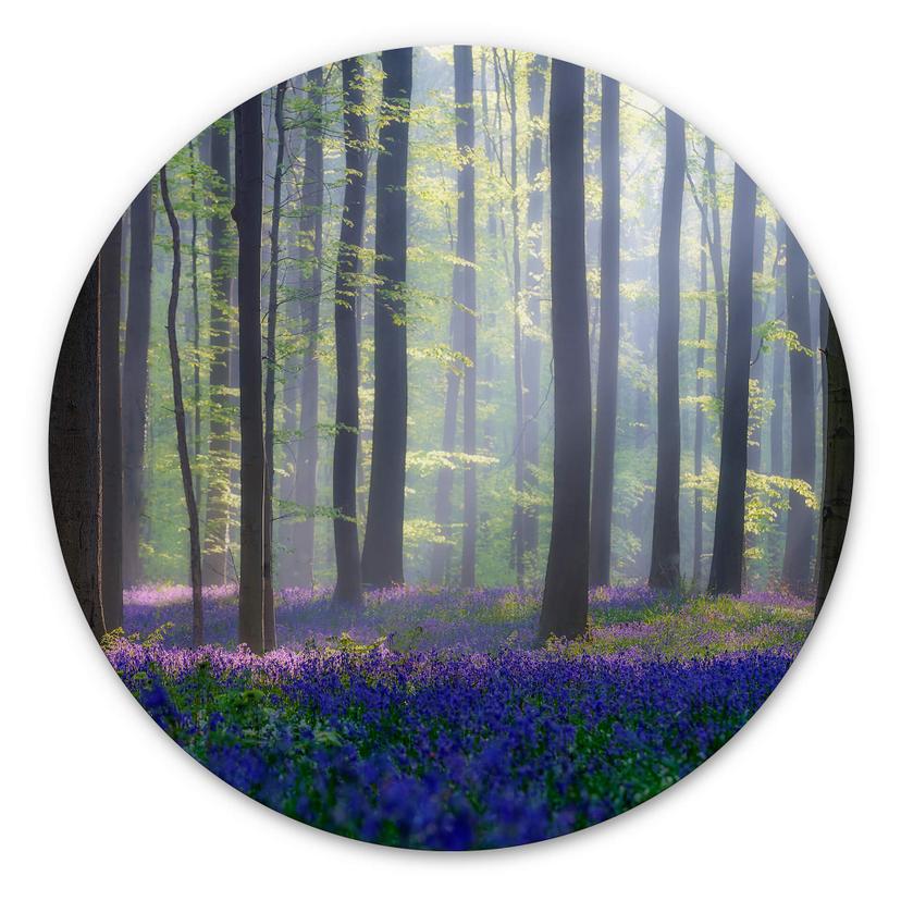 Wandcirkel Popan - Hyacinthen