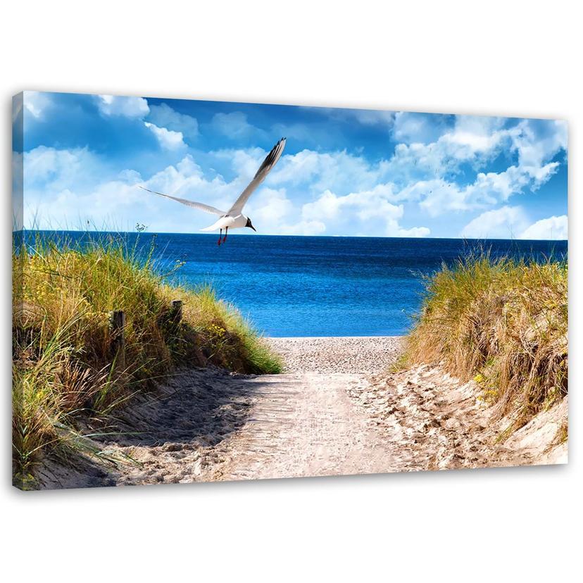 Canvasbillede, Vejen til stranden og en måge