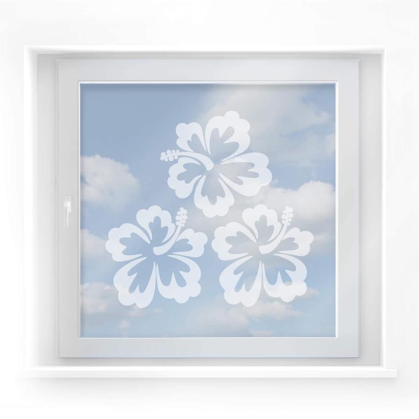 Effet Verre Dépoli : Fleurs d'hibiscus