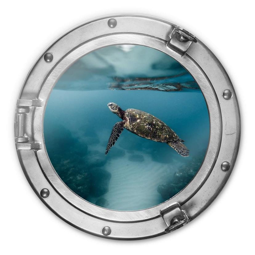 Glasschilderij rond - Traveling Turtle