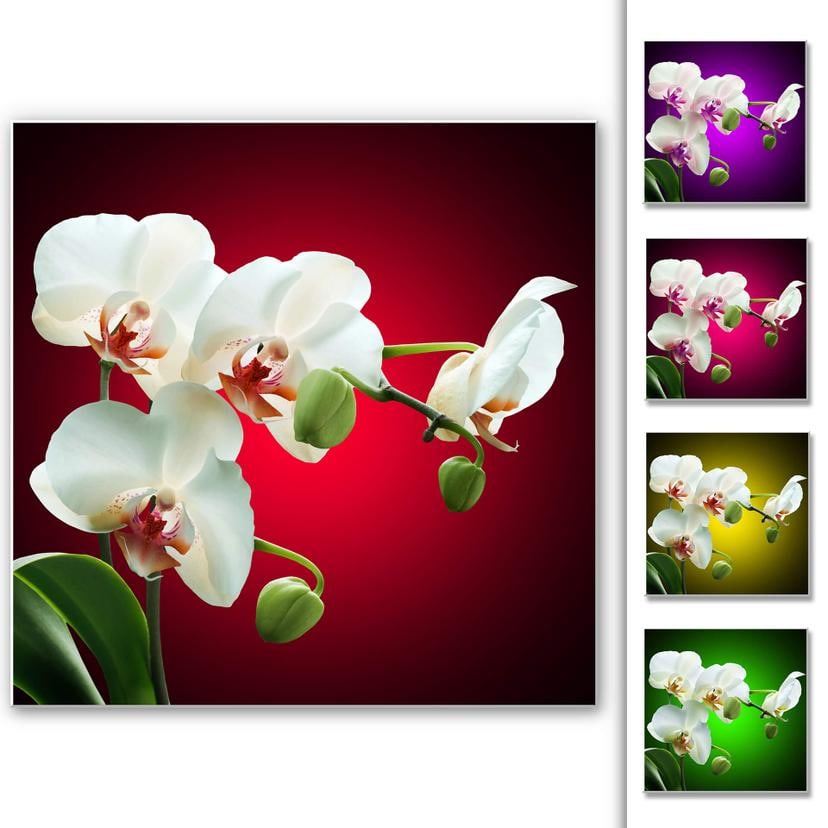 Tableau Forex - Beauté florale d'une orchidée - Format carré